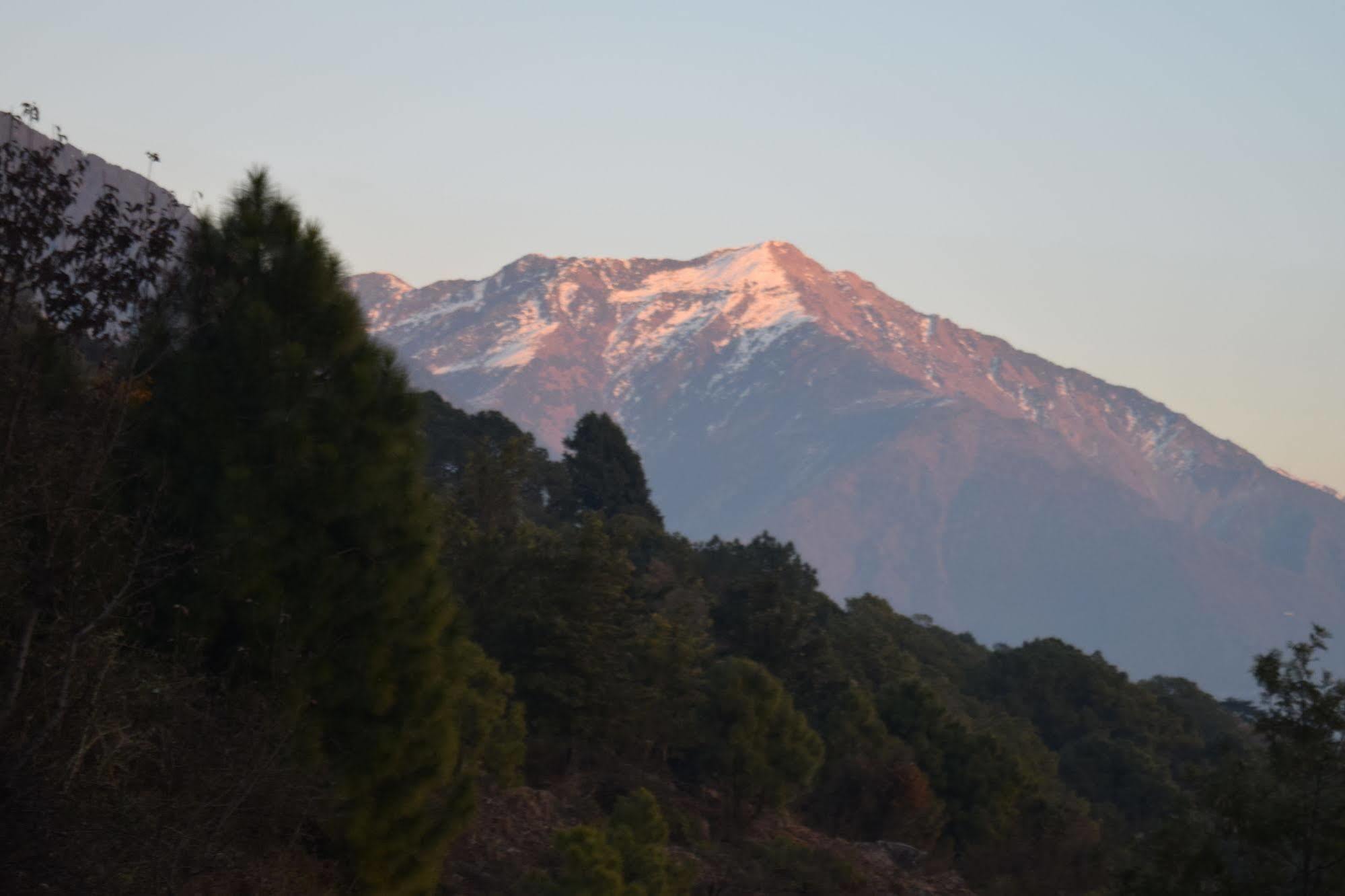 The Exotica Hotel Dharamshala Luaran gambar